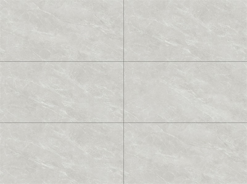 Y48FTC25A-LP 世紀銀杉